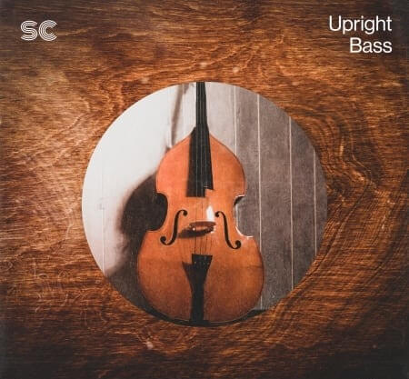 Sonic Collective Upright Bass WAV